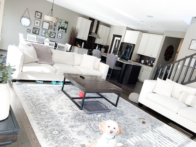 Skana Loveseat, Made in Canada 🇨🇦 | Calgary Furniture Store