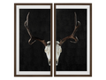 Deer Skull 2 Pieces Wall Art 🇨🇦 | Calgary Furniture Store