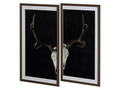 Deer Skull 2 Pieces Wall Art 🇨🇦 | Calgary Furniture Store