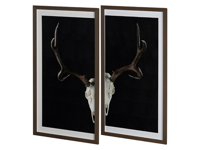 Deer Skull 2 Pieces Wall Art 🇨🇦 | Calgary Furniture Store