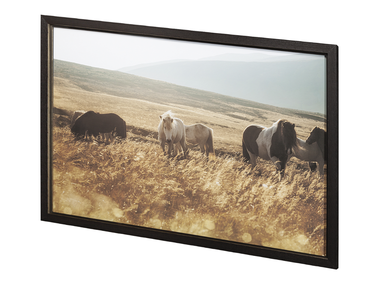 Moorland Serenity | Calgary Furniture Store