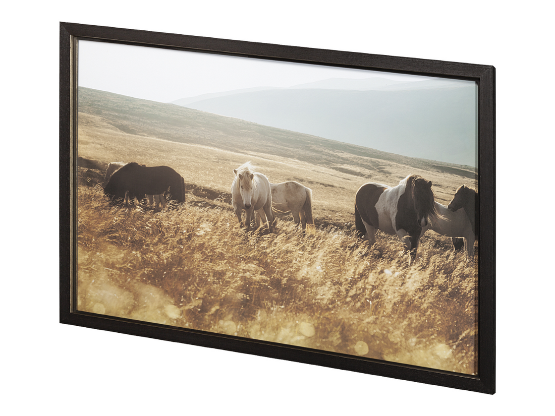 Moorland Serenity | Calgary Furniture Store