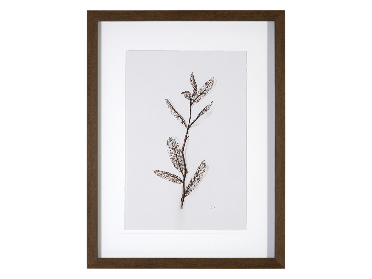 Olive Branch I | Calgary Furniture Store