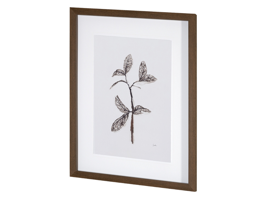 Olive Branch II | Calgary Furniture Store