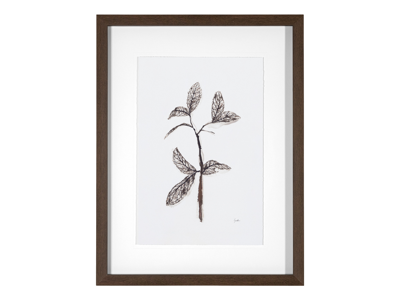Olive Branch II | Calgary Furniture Store