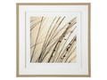 Organic I | Calgary Furniture Store