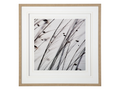 Organic II | Calgary Furniture Store