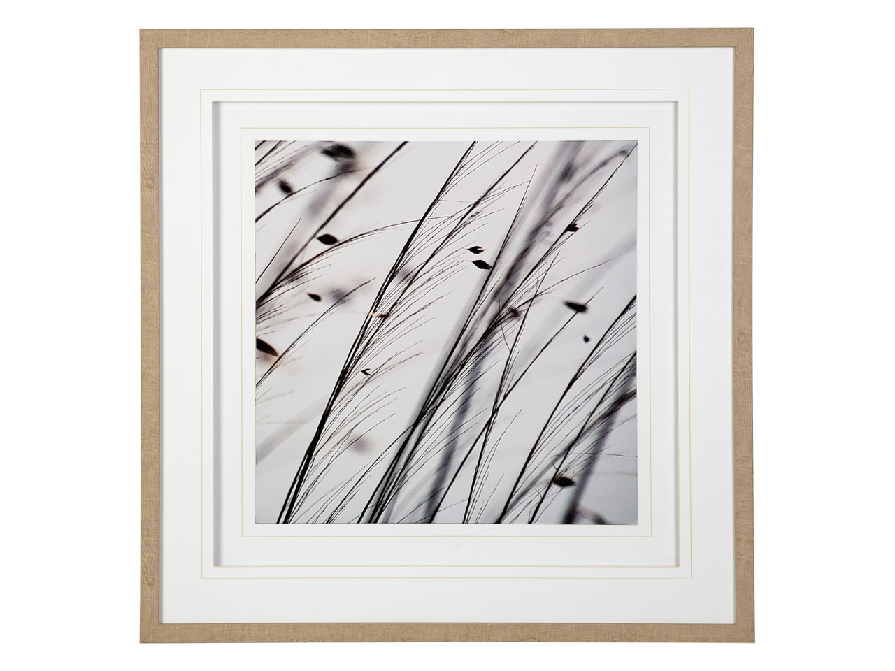 Organic II | Calgary Furniture Store