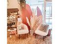 Pampas Grass | Calgary's Furniture Store | Calgary decor