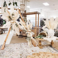 Pampas Grass | Calgary's Furniture Store | Calgary decor