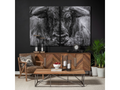 Ringo | Calgary Furniture Store