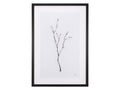 Snow Greetings I | Calgary Furniture Store
