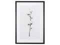 Snow Greetings II | Calgary Furniture Store