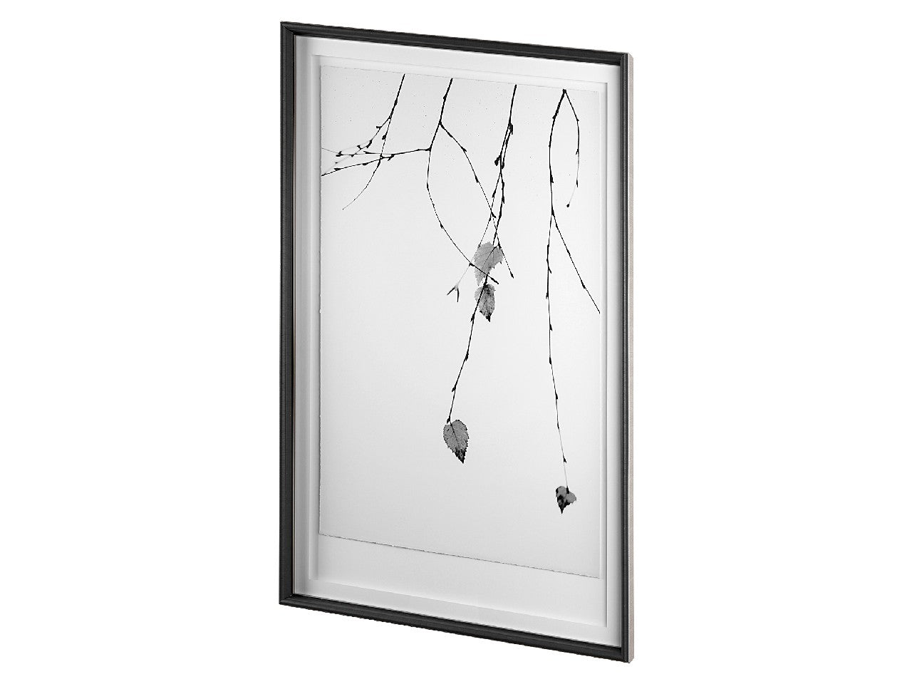 Solo | Calgary Furniture Store