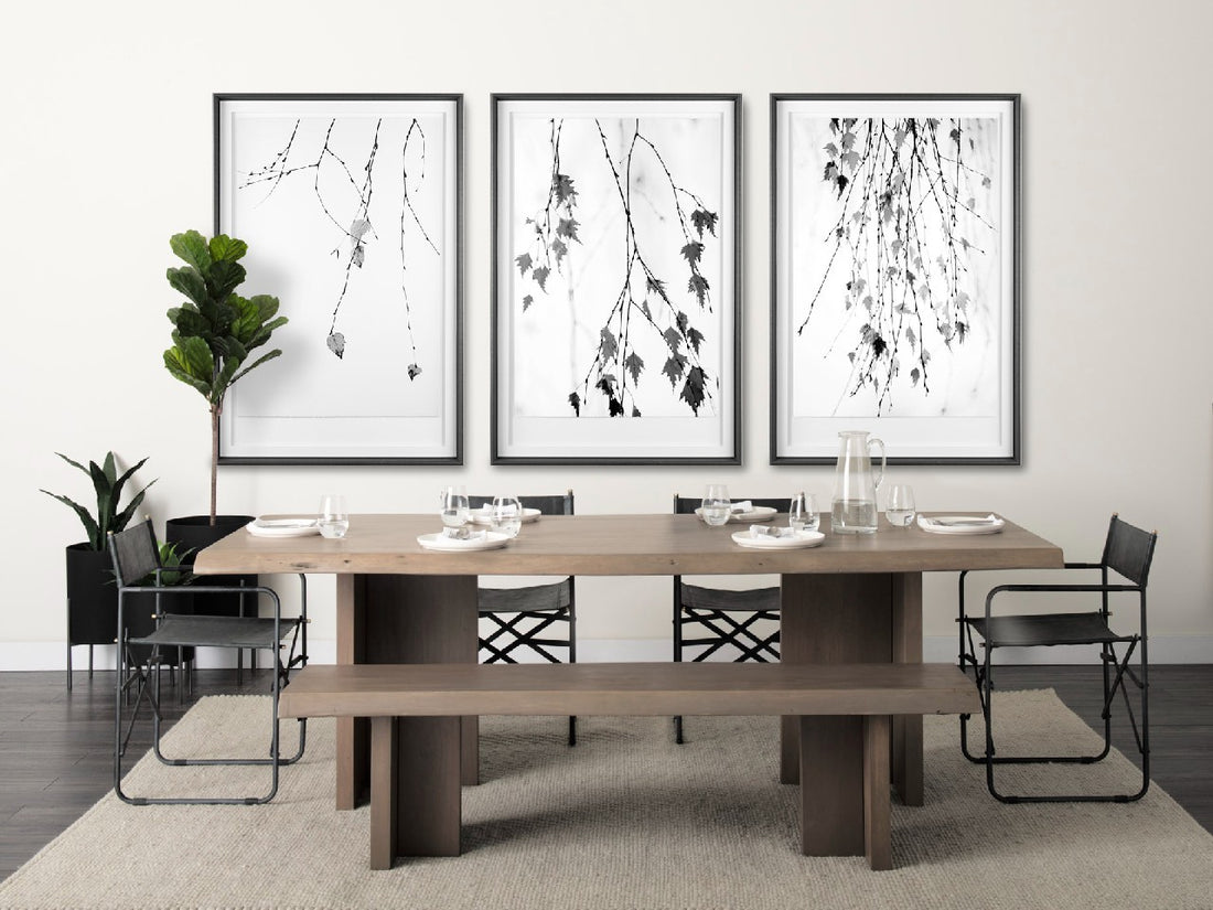 Solo | Calgary Furniture Store