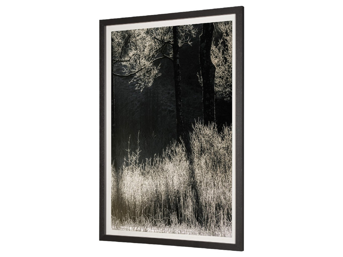Tranquil Symmetry | Calgary Furniture Store