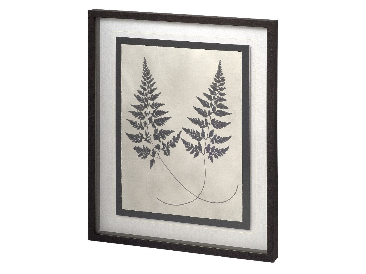 Vintage Fern Study I | Calgary Furniture Store