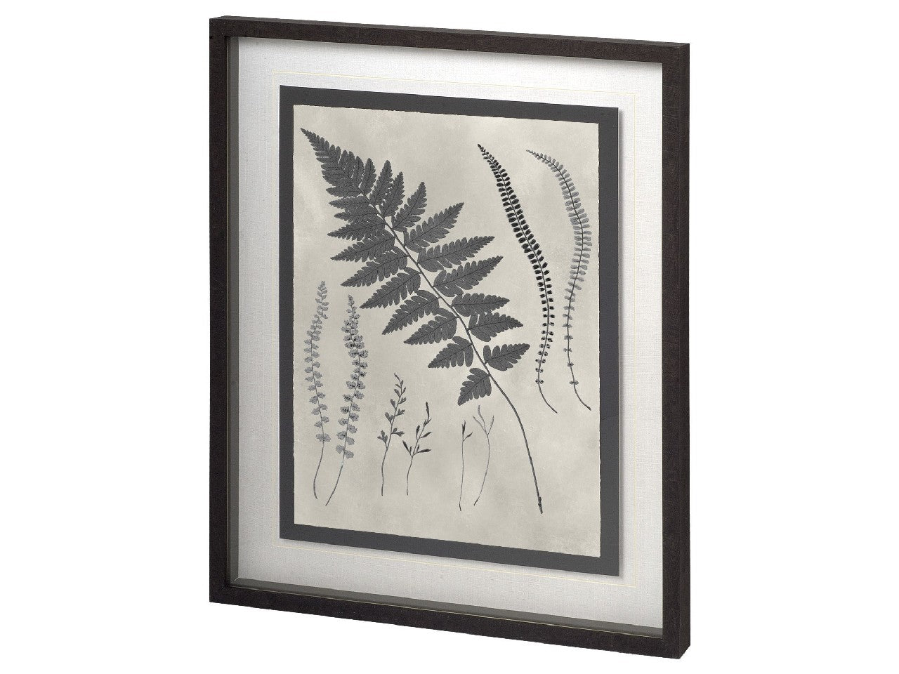 Vintage Fern Study II | Calgary Furniture Store