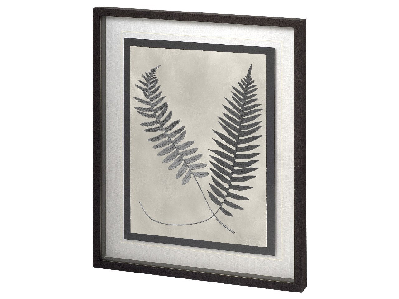 Vintage Fern Study III | Calgary Furniture Store