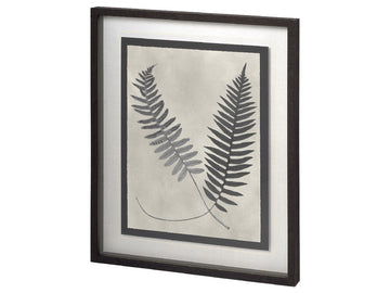 Vintage Fern Study III | Calgary Furniture Store