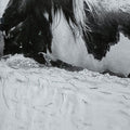Water Horses III (Set of 2) | Calgary Furniture Store