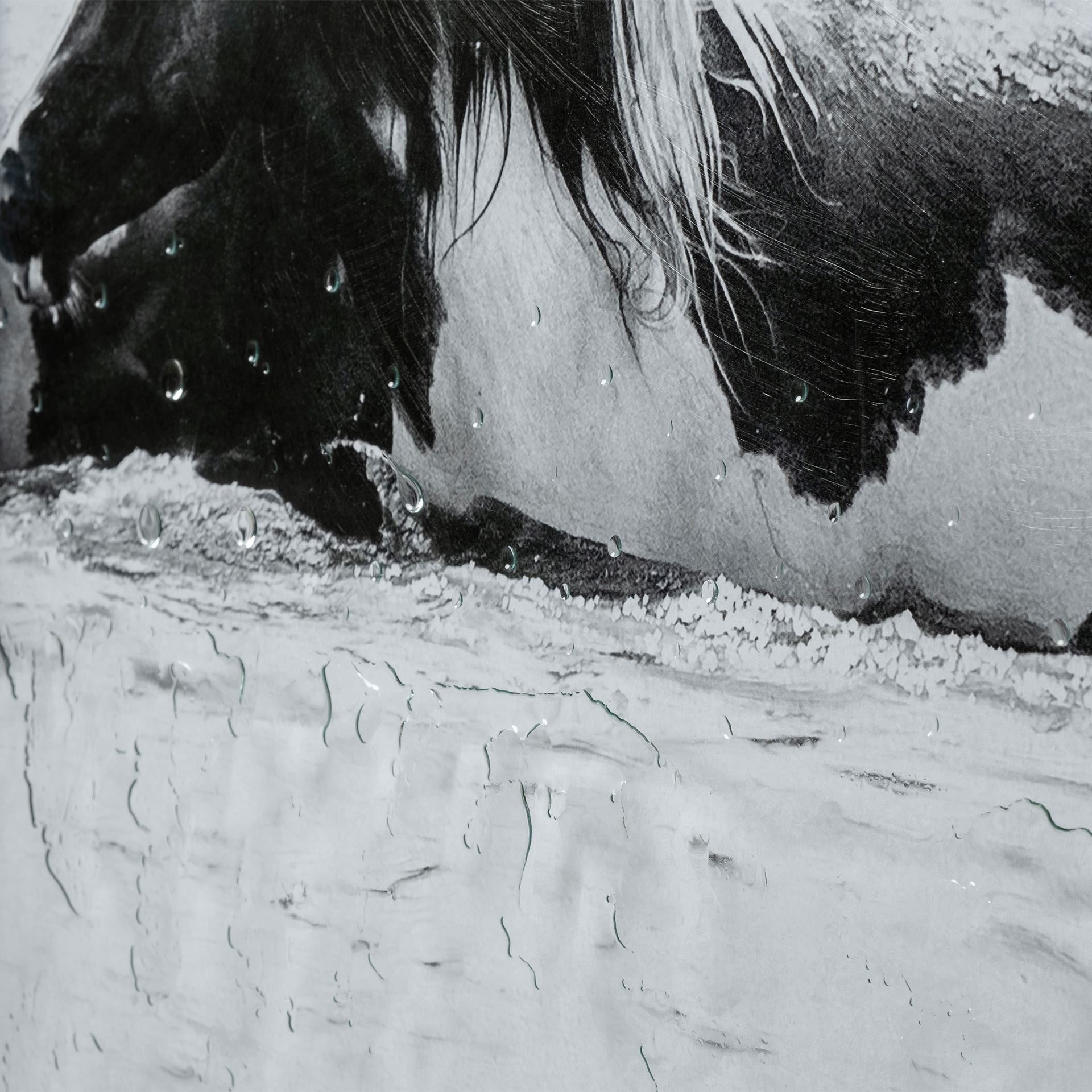 Water Horses III (Set of 2) | Calgary Furniture Store