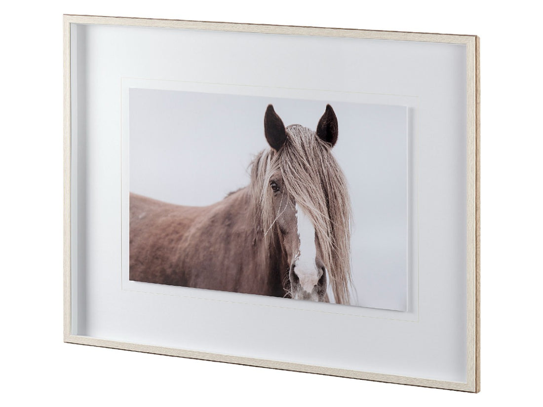 Wild Mane | Calgary Furniture Store