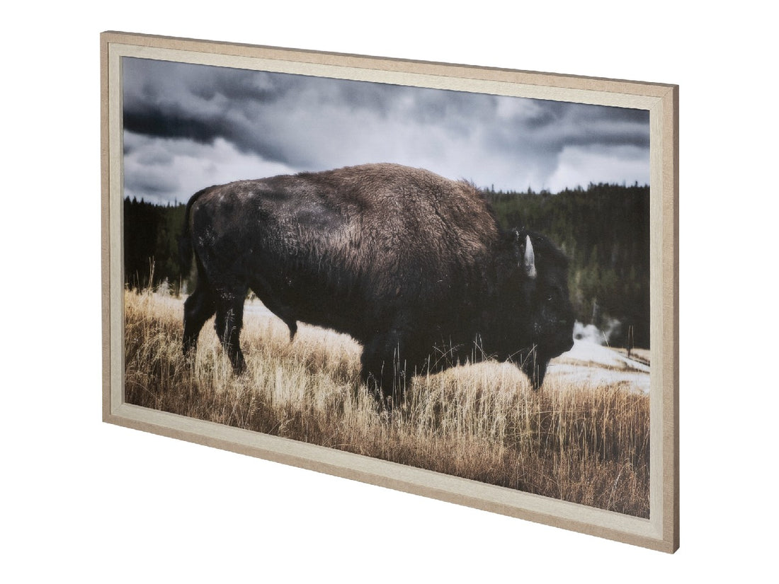 Yellowstone Bison | Calgary Furniture Store