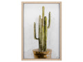 Arid Solitude | Calgary Furniture Store