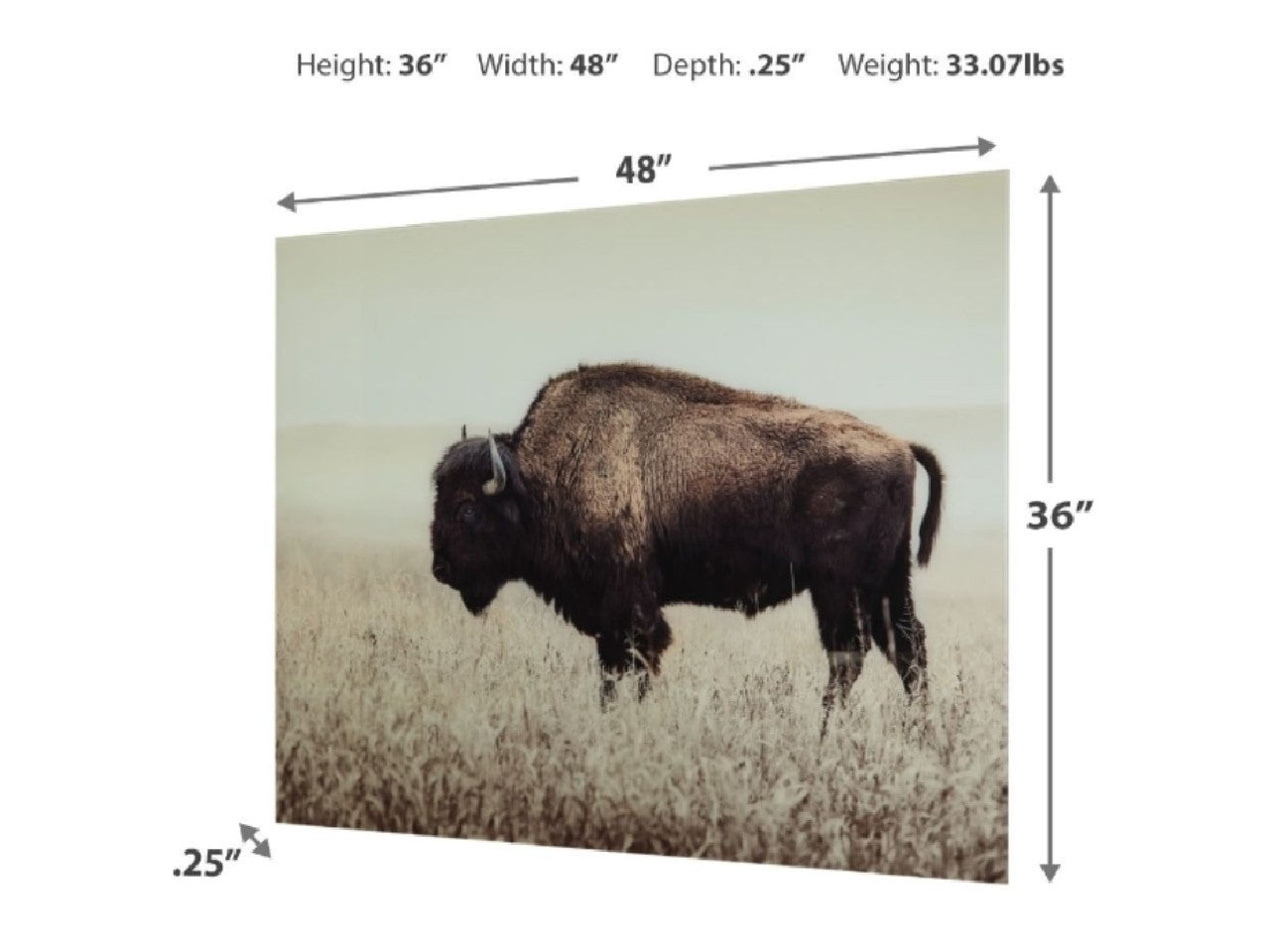 Brutus Wall Art | Calgary Furniture Store