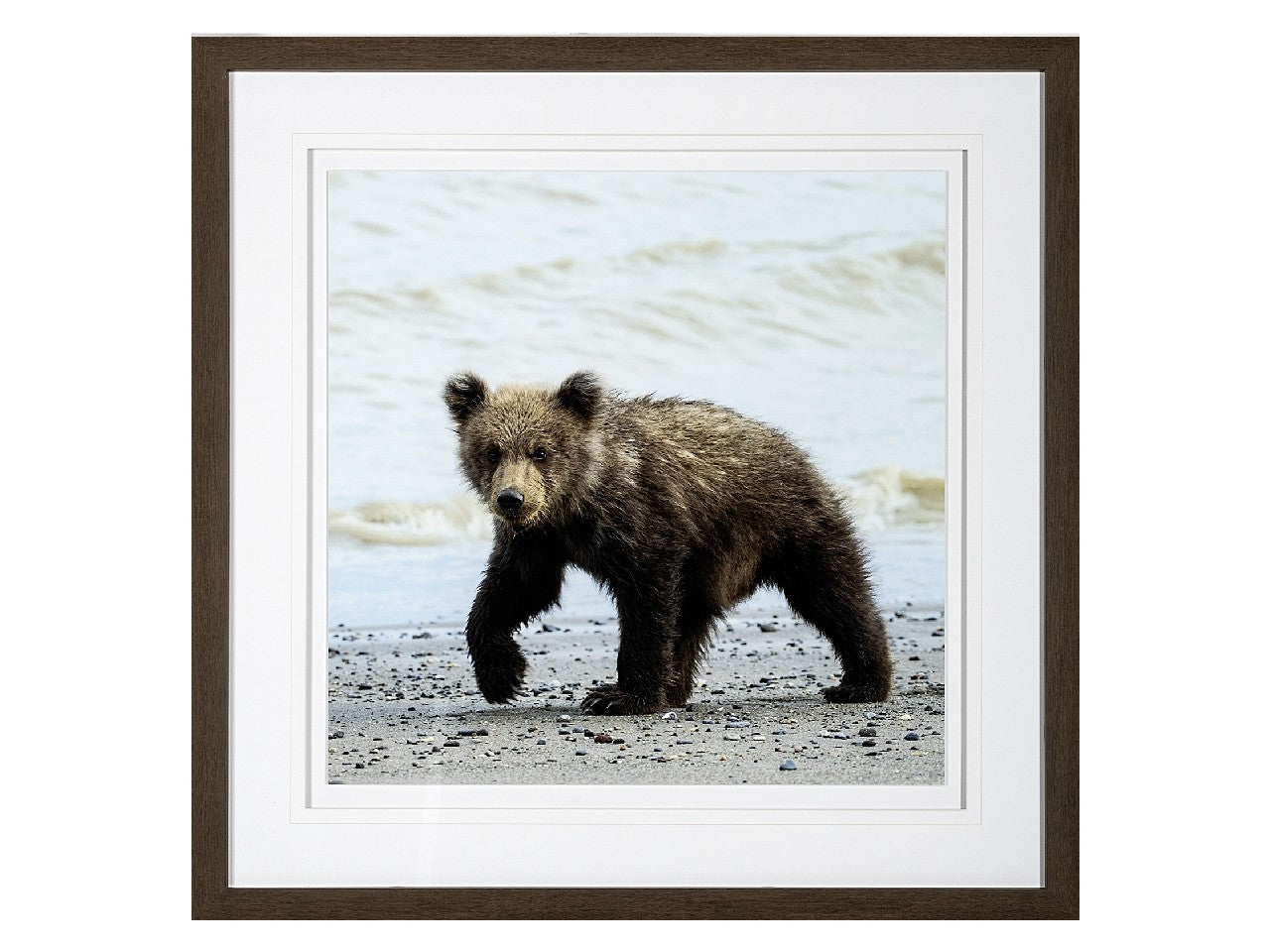 Curios Cub | Calgary Furniture Store