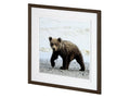Curios Cub | Calgary Furniture Store