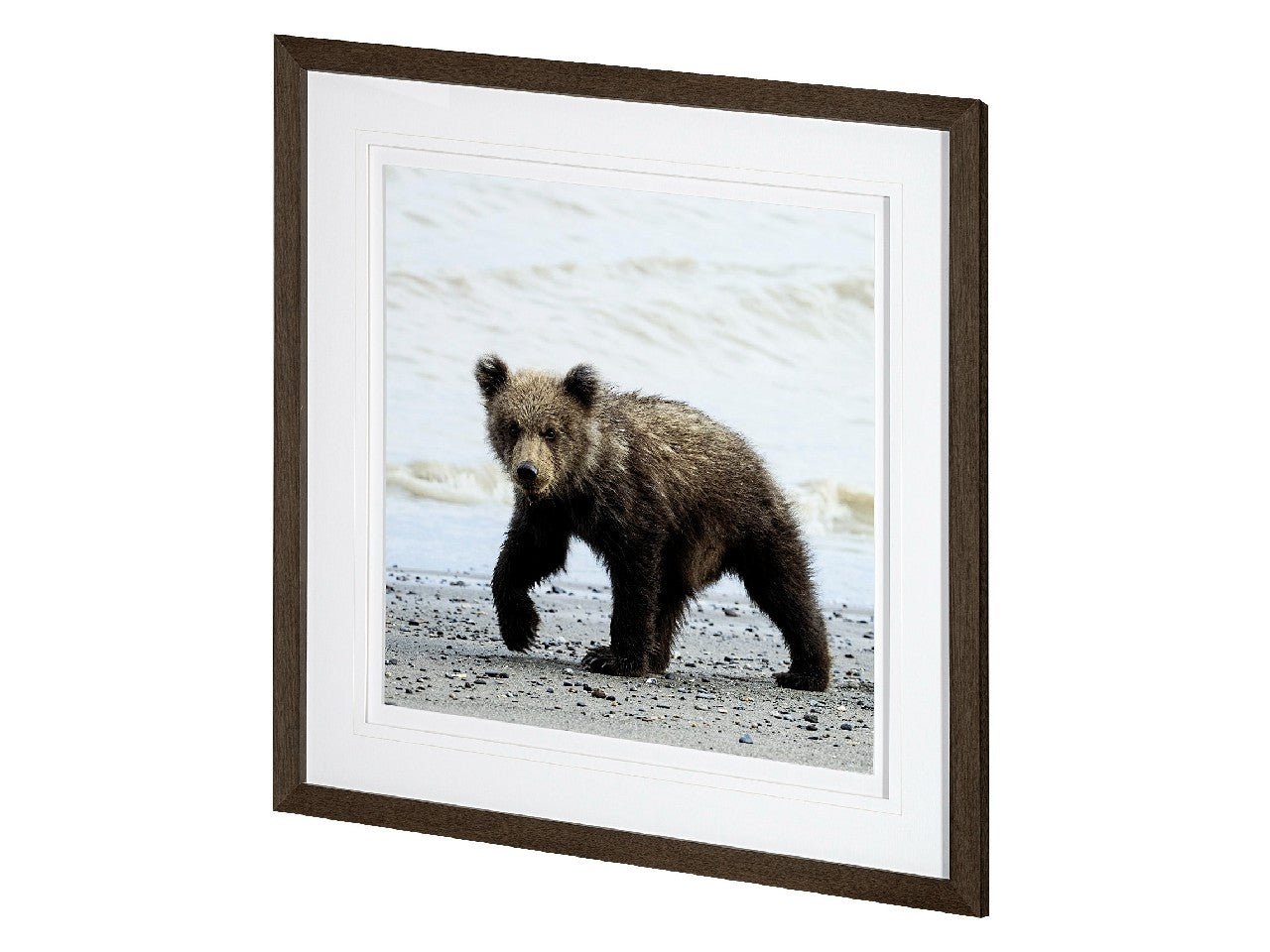 Curios Cub | Calgary Furniture Store