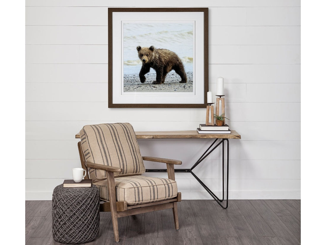 Curios Cub | Calgary Furniture Store