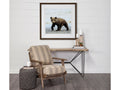Curios Cub 🇨🇦 | Calgary Furniture Store