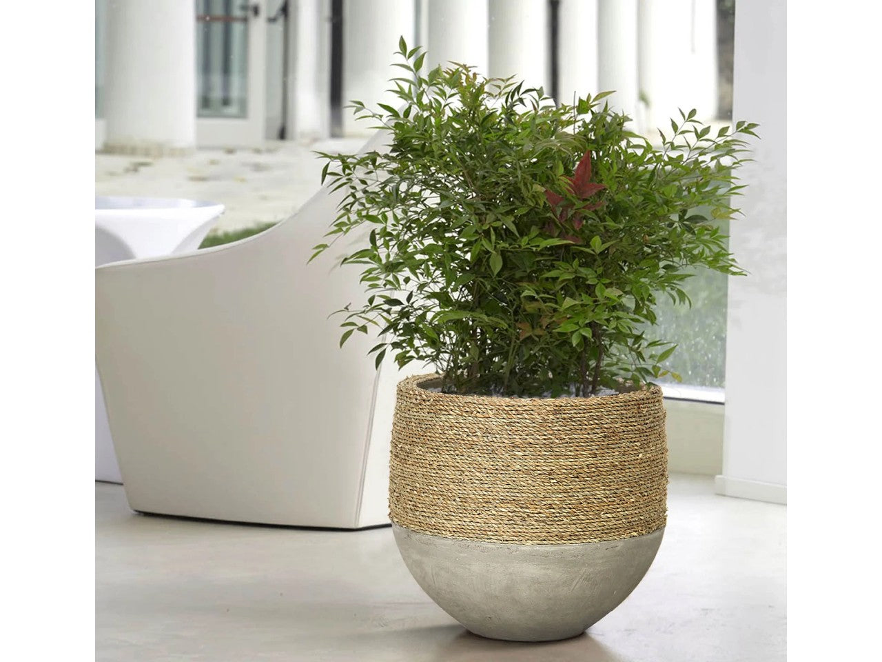 Natural Concrete Pot | Calgary Furniture Store