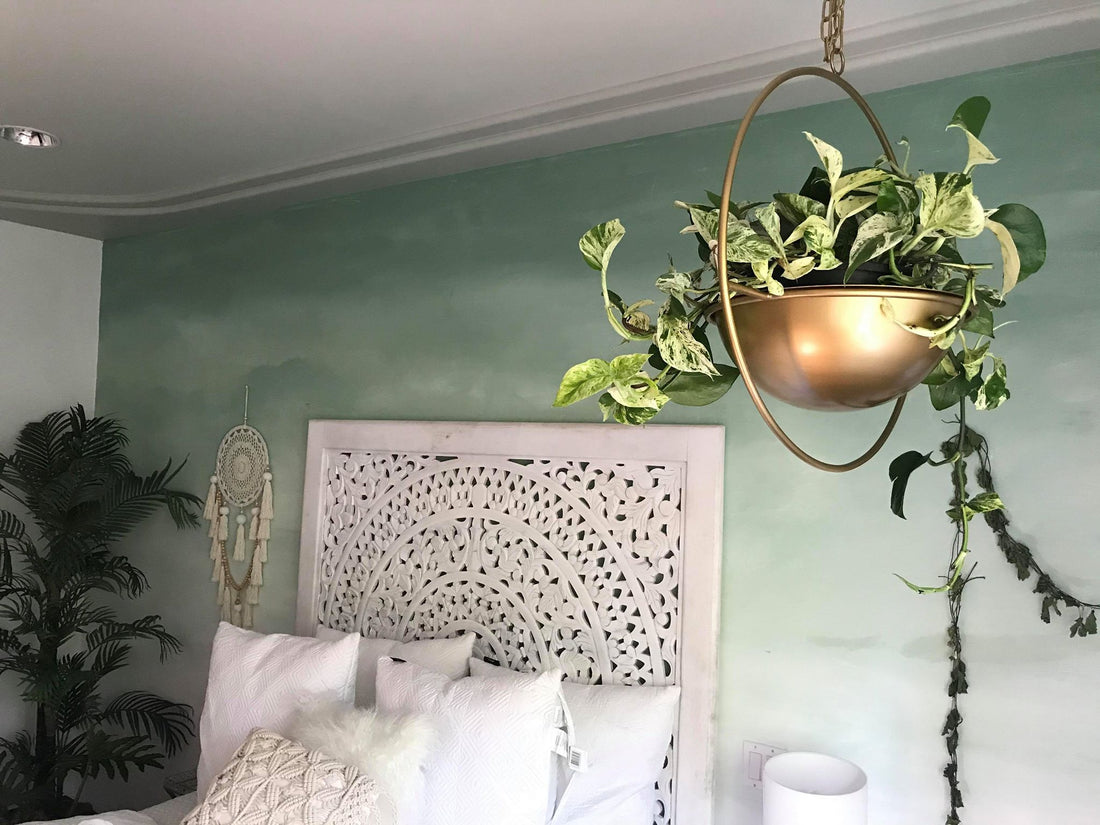 Arizona Desert Hanging Pots | Calgary Furniture Store