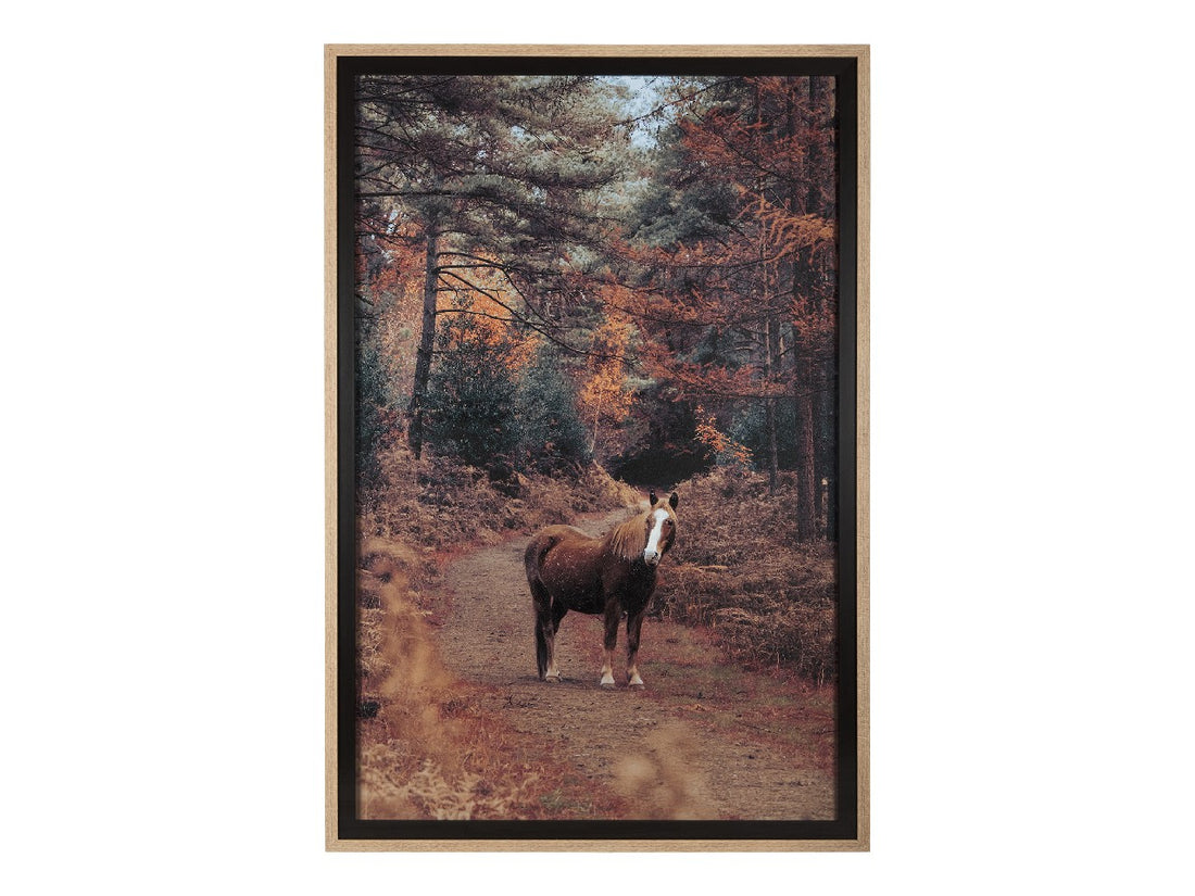 Forest Crossing | Calgary Furniture Store