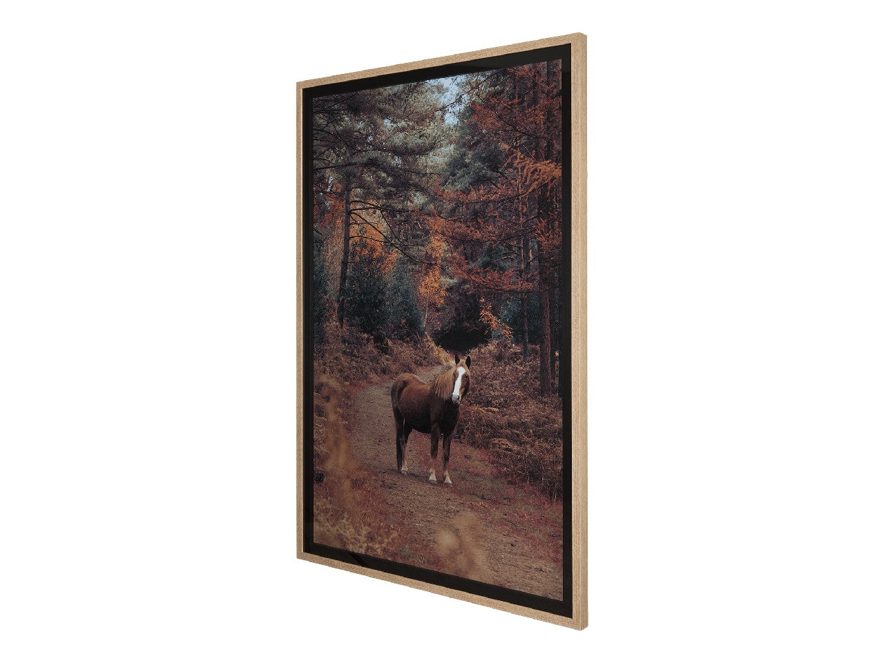 Forest Crossing | Calgary Furniture Store
