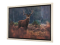 Glorious Stag 🇨🇦 | Calgary Furniture Store