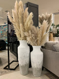 Pampas Grass | Calgary Furniture Store