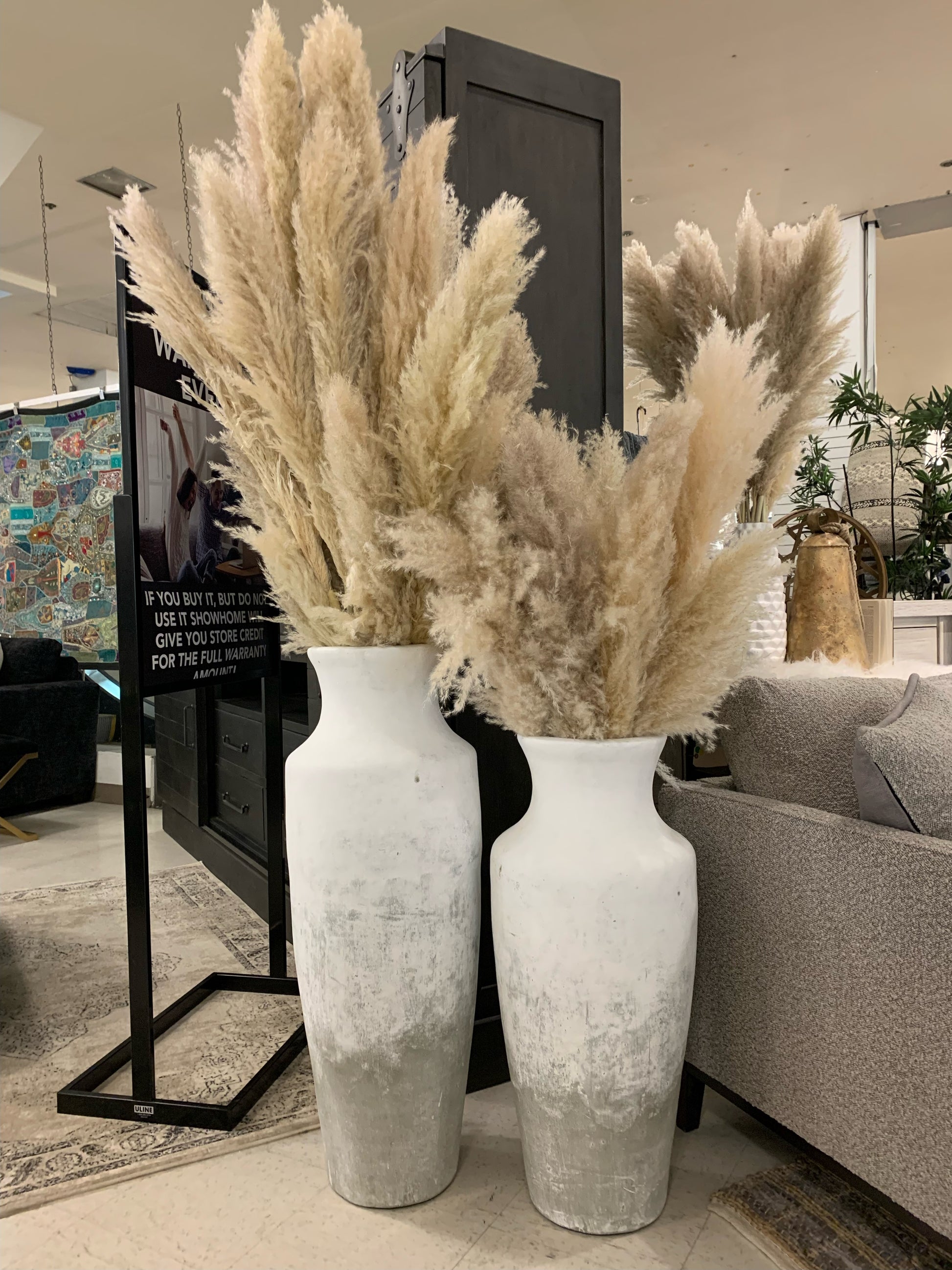 Pampas Grass | Calgary Furniture Store