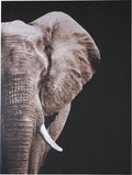 Jendayi Wall Art | Calgary Furniture Store