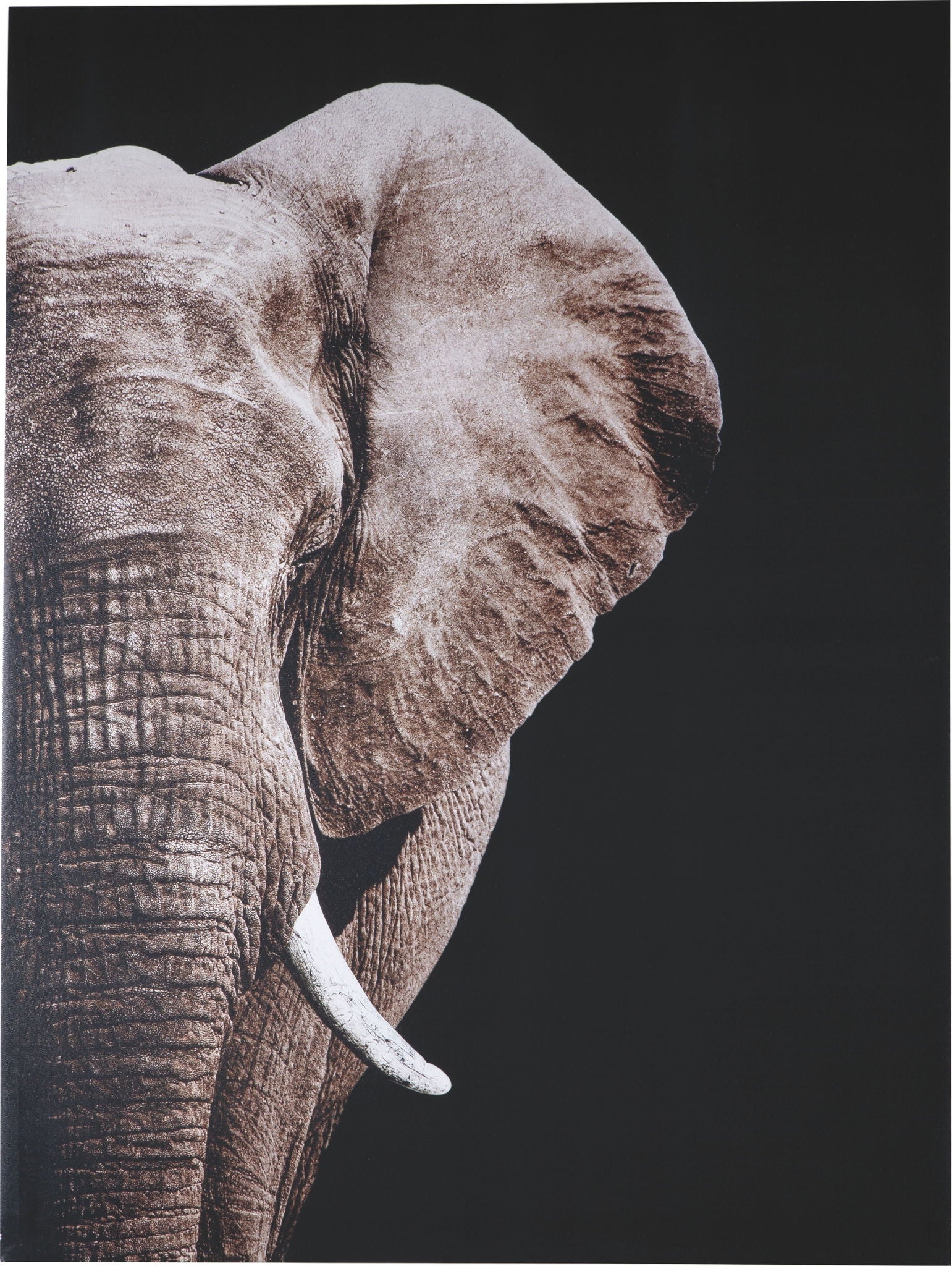 Jendayi Wall Art | Calgary Furniture Store