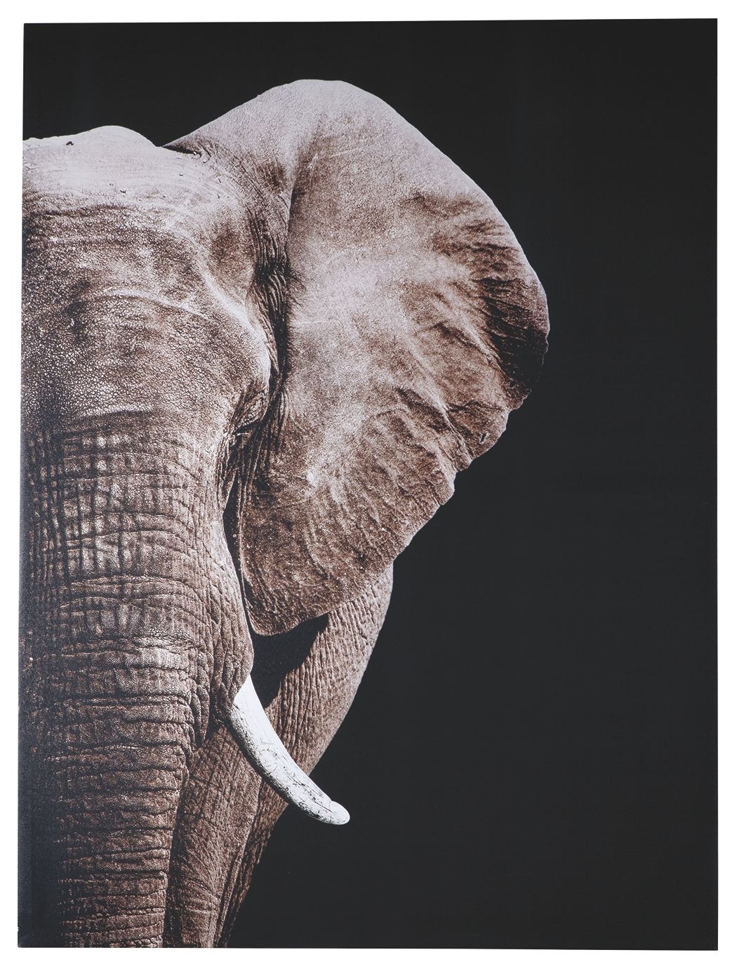 Jendayi Wall Art | Calgary Furniture Store