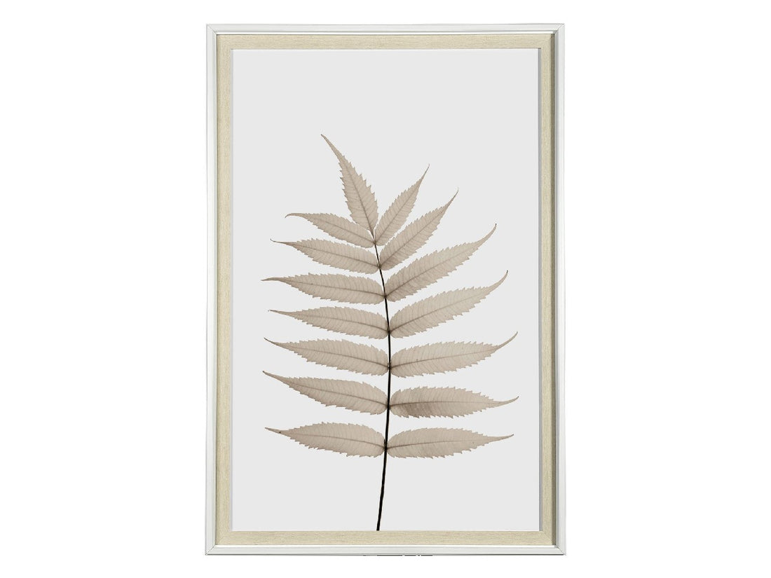 Limber Leaves | Calgary Furniture Store