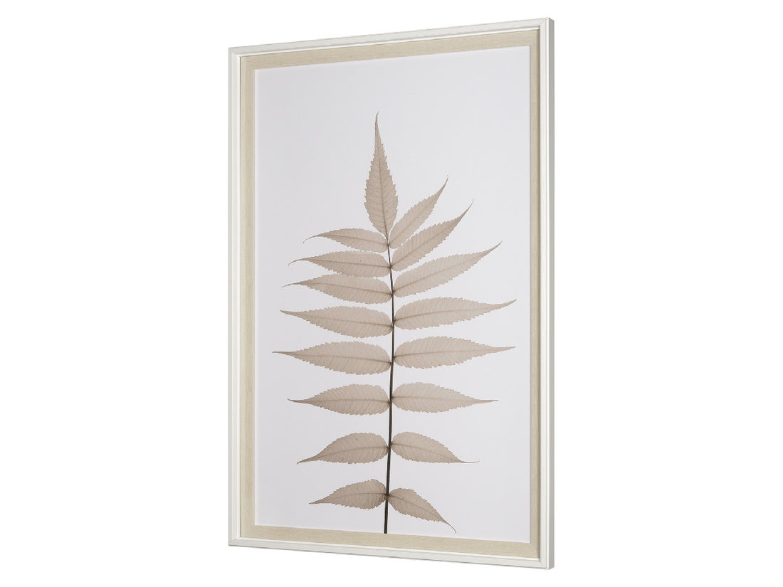Lithe Leaves 🇨🇦 | Calgary Furniture Store