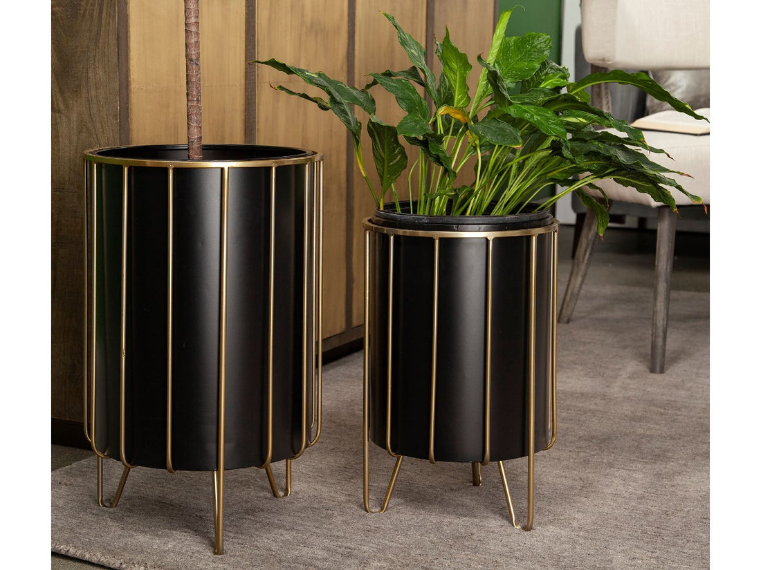 Pianta Plant Stands | Calgary Furniture Store