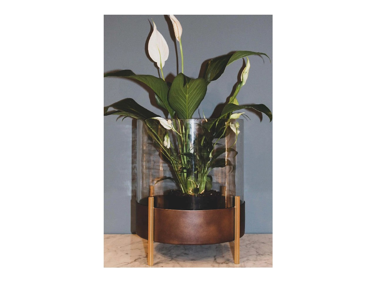The Revenant Candelabra | Calgary Furniture Store