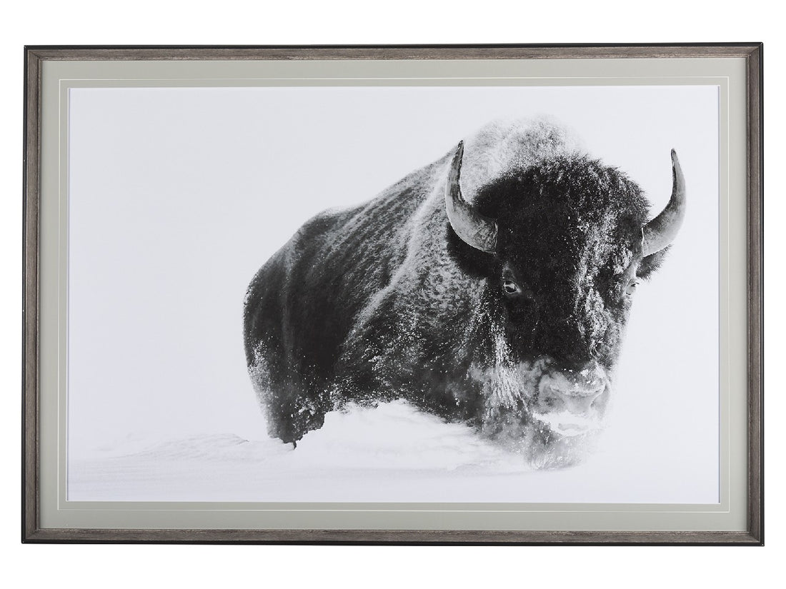 A Struggle | Calgary Furniture Store